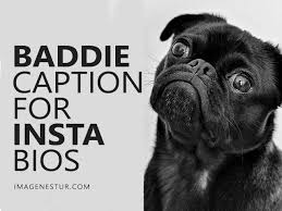 Shop unique cards for birthdays, anniversaries, congratulations, and more. Baddie Quotes Baddie Captions For Instagram Pictures Bios 2021 Imagenestur