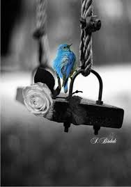 Black And White With Pop Of Color Art 