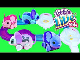 Little Live Pets Lil Mouse House Trail Track Set Tubes Baby Mice Moose Toys Review Disneycartoys Little Live Pets Pet Mice Moose Toys