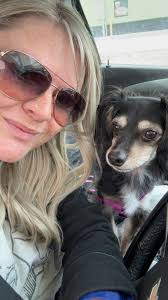 Gemma (left) and Ginger (right) hangin' out. They always like to snuggle in  the corner area of the sectional. They bury themselves in between the  cushions. Gemma is 2 years old and