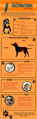 Pin On Dog Remedies