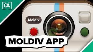 Mit pic collage erstellst du collagen schnell und einfach. Foto Collagen Apps Wir Stellen Dir Die 5 Besten Anwendungen Vor