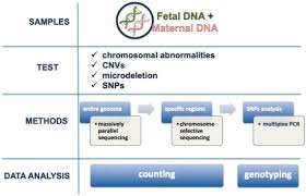 Image result for Fetal Testing Indications