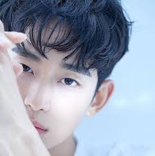 Profile for Kim Soo-Hyun