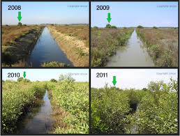 Restoration Resource Center What Is Ecological Restoration