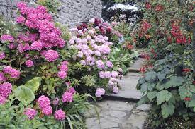 Quels sont les différents types d'hortensia ? Tout Sur Les Hortensias Ou Quand Comment Les Planter Quel Entretien In My French Garden