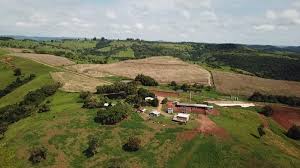 Fazenda Para Pecuária à Venda