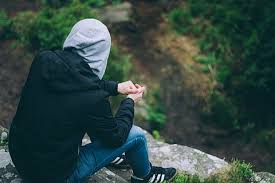 In order to download wallpaper which fits your screen check. Hd Wallpaper Person In Black Hoodie On Wooden Bridge Surrounded By Green Leafed Trees Person On Hanging Bridge Wallpaper Flare