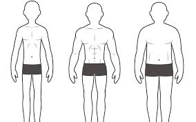 your body type ectomorph mesomorph or endomorph muscle