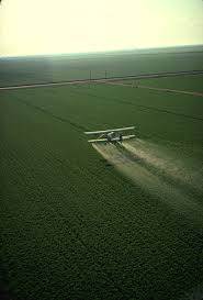 Pesticide - Wikipedia