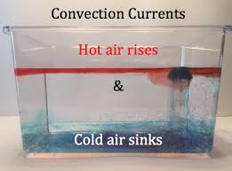 Convection Currents Experiment Is Amazing A Great Visual For Hot Air Rises And Cold Air Sinks Convection Currents Weather Science Weather Experiments