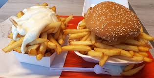 Image result for Friet And Mayo