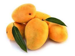 Would you love to put that fruit to use, but just can't get to it? Mango Tree Alphonso Variety Grafted