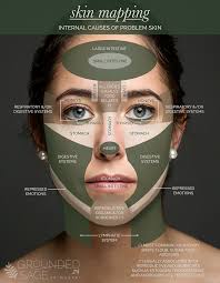 skin mapping chart pinpoint internal causes of problem