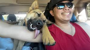 Taylor Hanson & Wife Natalie Welcome Sixth Child: 'The Gift Of A Lifetime' 