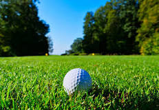 Image result for how to describe a golf course