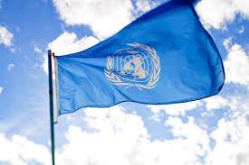 Who flag of the world health organization formation7 april 1948typespecialized the world health organization is an agency of the united nations and as such shares a core of common personnel policy with other agencies. A New World Health Organization The Search For A Director General Yale Global Health Review