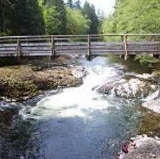The park sits on a fork of the chehalis river that has the small falls. Rainbow Falls State Park Naturefind