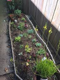 Order succulent plants, cuttings, seeds and more. Started This Succulent Garden Collection After Two Years Of Adding As I Go It Is Actually Starting To Be Something Gardening