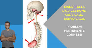Mal Di Testa Digestivo Cervicale E Nervo Vago Problemi Fortemente Connessi L Altra Riabilitazione