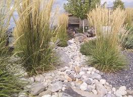 Landscaping Xeriscape Landscaping Ideas Colorado Xeriscape Landscaping Large Backyard Landscaping Xeriscape