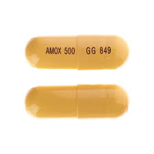 Image result for Amoxicillin