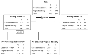 Image result for Bishop Score