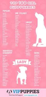 You'll find excellent female dog names alphabetically listed, with special sections for popular letters. 13 Puppy Names Ideas Puppy Names Female Dog Names Dog Names