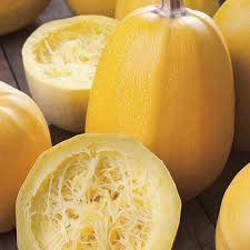 Dig a hole slightly larger than the root of the plant. Squash Winter Vegetable Spaghetti Seeds From Mr Fothergill S Seeds And Plants
