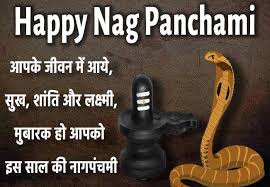 Know about the significance, dates, and rituals. 20 Best Nag Panchami Status Wishes Messages Sms Quotes And Images In 2021
