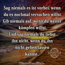 Sag Niemals Es Ist Vorbei Wenn Du Es Nochmal Versuchen Willst Nachdenkliche Spruche Spruche Spruchewelt