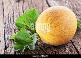 Whole Melon On A Table Stock Photo Alamy