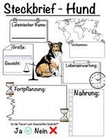 Check spelling or type a new query. Steckbrief Hund Unterrichtsmaterial Im Fach Sachunterricht