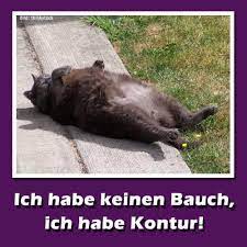 Computer bild zeigt, wie sie gruppenchats effektiv nutzen. Die Lustigsten Whatsapp Bilder Zum Verschicken