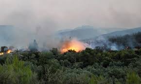 Jun 08, 2021 · ελλαδα · canadair · καναντερ · ειδησεισ · cnn ειδησεισ · ειδησεισ τωρα · αεροπλανα · φωτιεσ sponsored act for earth, το μεγάλο αφιέρωμα του cnn greece. Fwtia Twra Fwtia Se Dasikh Ektash Sth Zakyn8o Ellada Thepressroom Gr