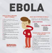 Ebola virus has been found in african monkeys, chimps and other nonhuman primates. Ebola Infographic Visual Ly