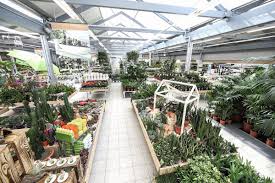 Benutzen sie den tab 'karte & route', um die schnellste route zu casteller straße in hofheim zu planen. Aus Praktiker Markt Wird Dehner Gartencenter Dega Gruner Markt