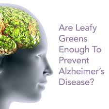 What is known, however, is that most cases are the result of complex interactions between multiple lifestyle, genetic, environmental, and medical. Are Leafy Greens Enough To Prevent Alzheimer S Disease Save Our Bones