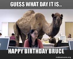 Submitted 8 years ago by prthead55gimme back my hand. Guess What Day It Is Happy Birthday Bruce Hump Day Camel Make A Meme