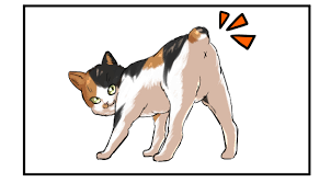 Check spelling or type a new query. Coming The Craze For Cat The Charms Of Japanese Cat