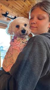 Jeep Wrangler JL with custom duck decal