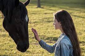 Buzzfeed staff here's a picture of her around 19. Kinderfilmwelt Black Beauty