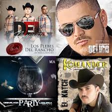 Los Jilgueros Del Pico Real