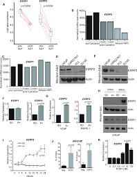 The prostate cancer foundation estimate that 1 in nine men in the u.s. Androgen Regulated Transcription Of Esrp2 Drives Alternative Splicing Patterns In Prostate Cancer Elife