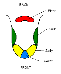 The Nibble Tongue Map