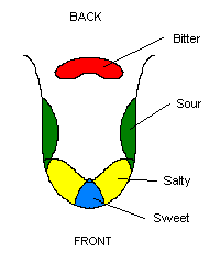 the nibble tongue map