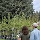 Arbor Day Event