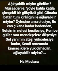 Allahim Sen En Dogrusunu Bilirsin Bana Yardim Et Ozlu Sozler Rumi Sozleri Guzel Soz