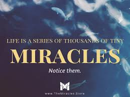 Life Is A Series Of Thousands Of Tiny Miracles Life Is A Series Of Thousands Of Tiny Miracles Notice Them Miraclequotes Expectmiracles Happinessquotes Insp Miracle Quotes Inspirational Quotes Quotes