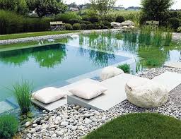 Natural Alternatives For Swimming Pools Natural Swimming Pools Natural Pool Swimming Pool Designs
